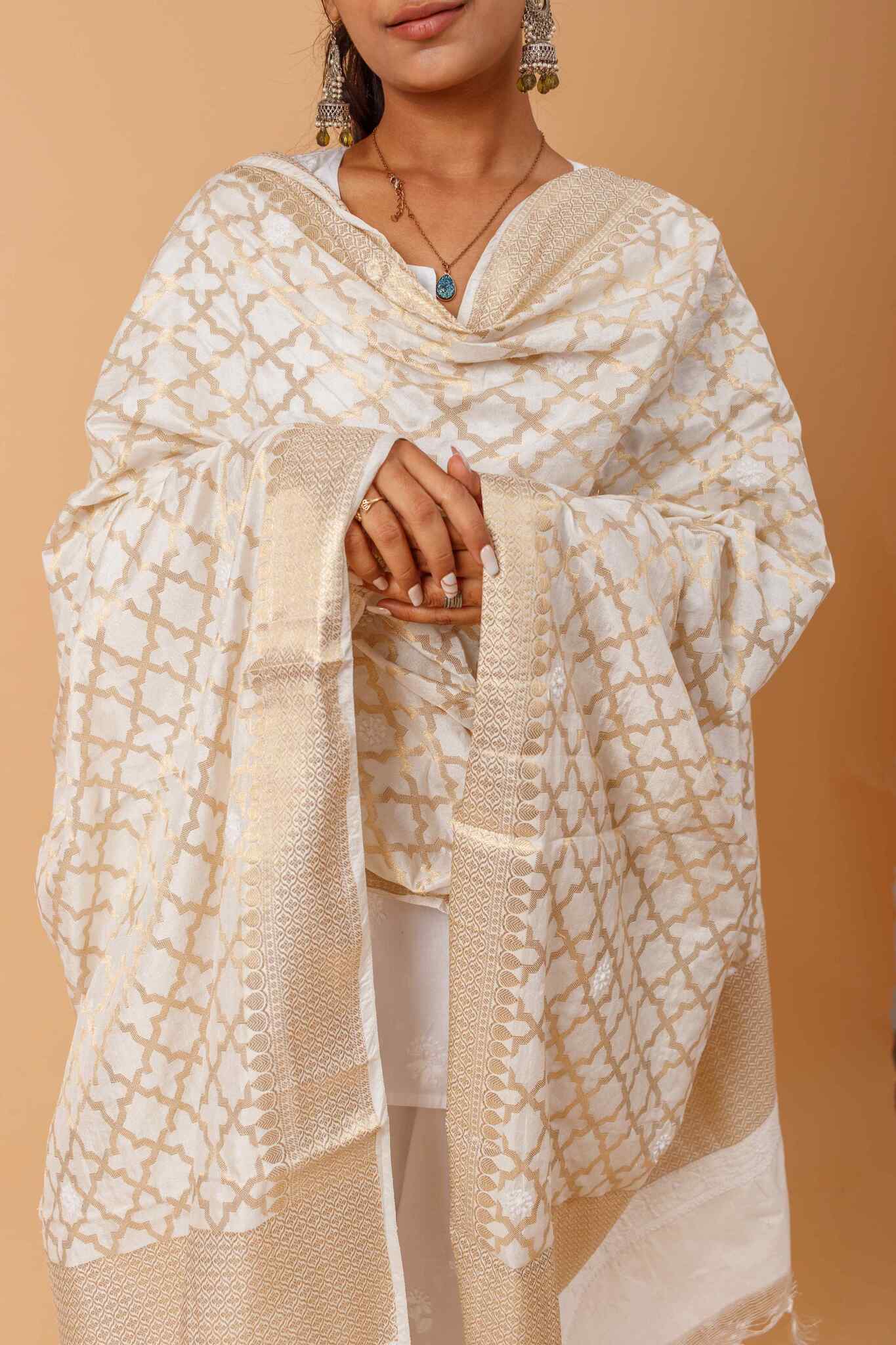 Arsh Handcrafted Chikankari on Banarasi Dupatta - Image 5