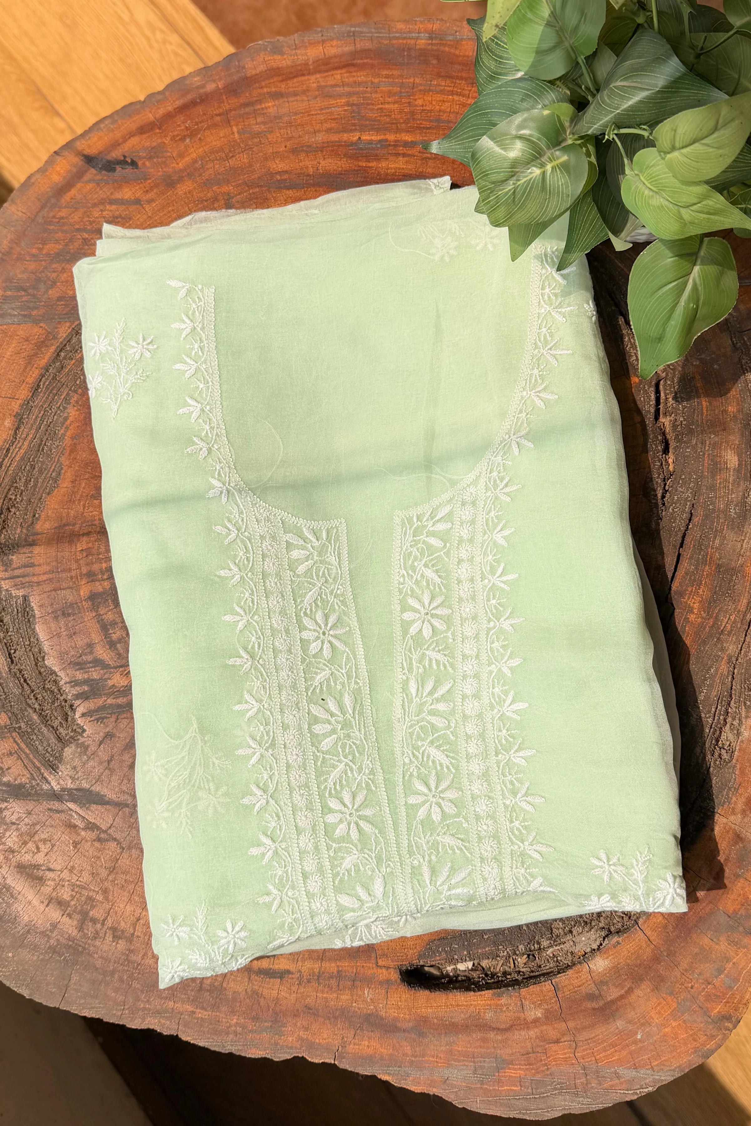 Arsh Handcrafted Mint Green Pure Organza Kurta and Dupatta set