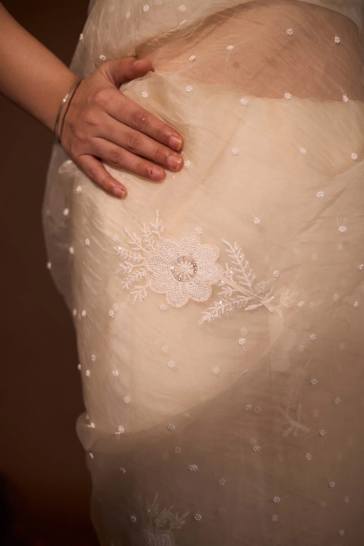 Arsh Handcrafted Pure Organza Chikankari Saree - Image 6