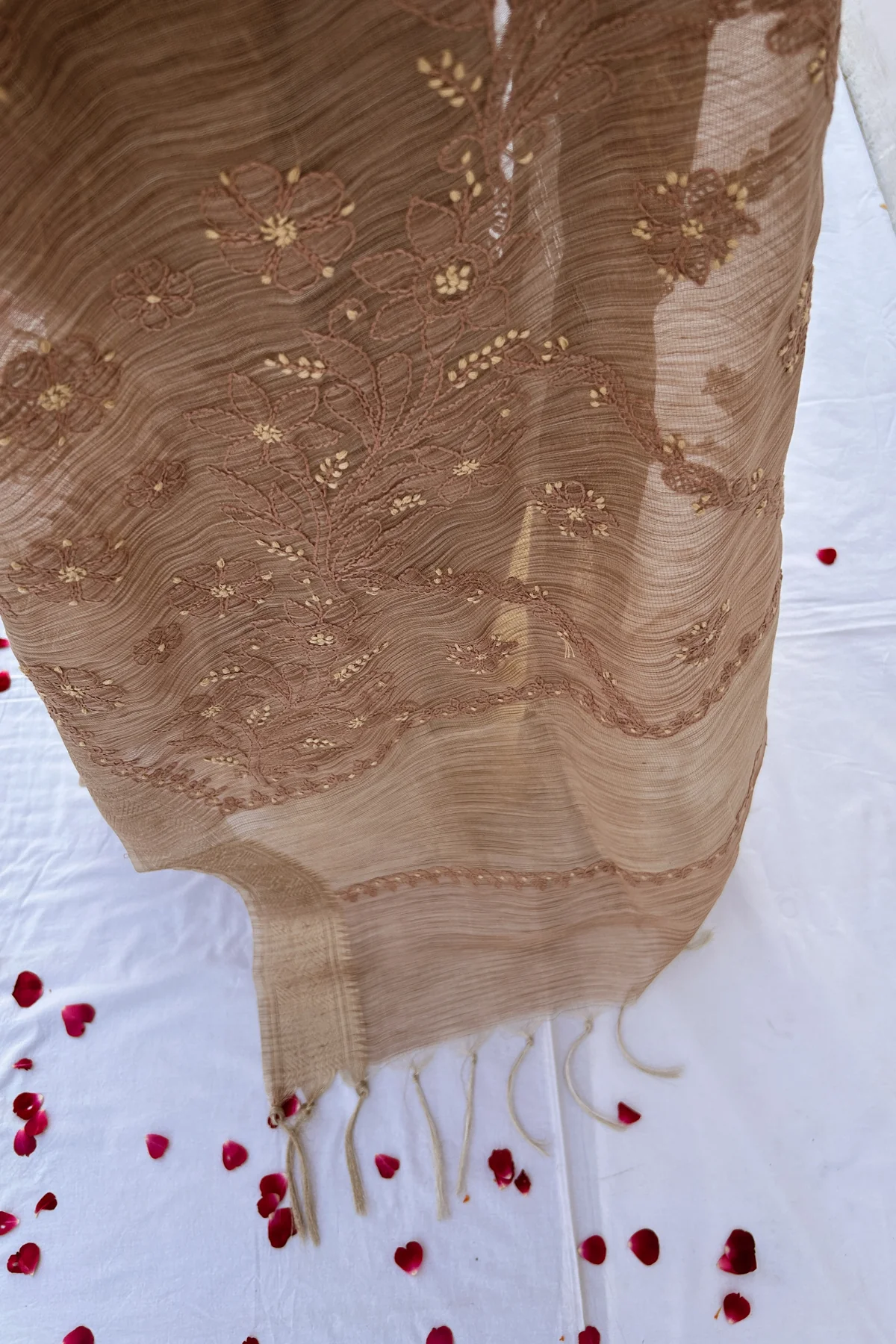 Arsh Hand Embroidered Banarasi Tissue Chikan Saree - Image 4